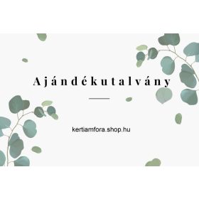 AJÁNDÉKUTALVÁNY 10.000 FT