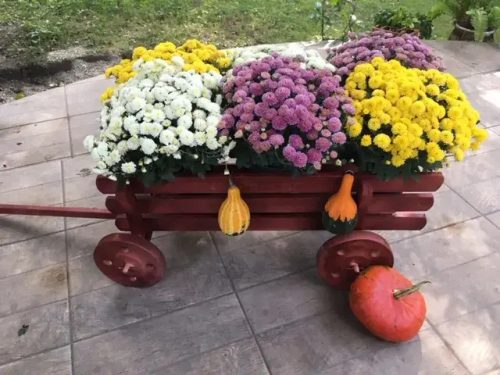 Fa virágtartó szekér 65 cm - cseresznye