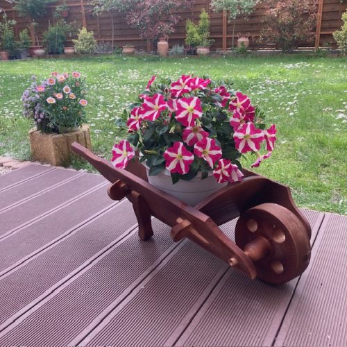 Szett 06. Talicska + virágláda