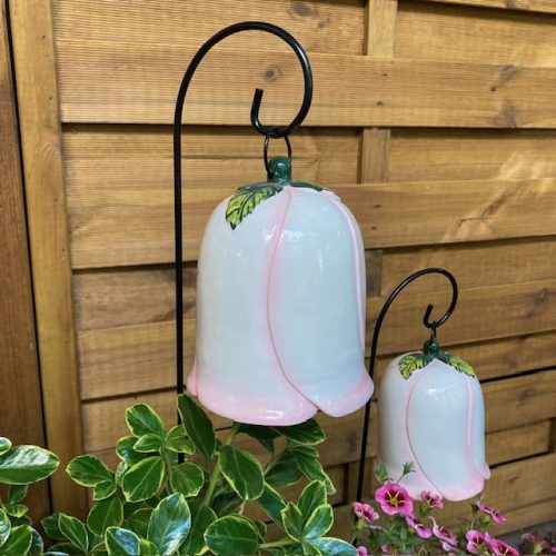 Nagy méretű kerti harangvirág