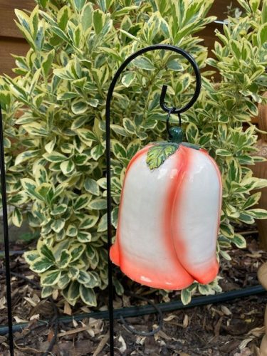 Nagy méretű kerti harangvirág