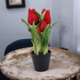 Cserepes gumi tulipán 5 szálas - piros