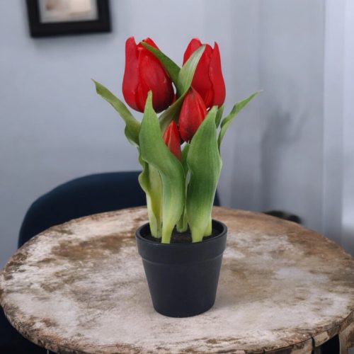 Cserepes gumi tulipán 5 szálas - piros