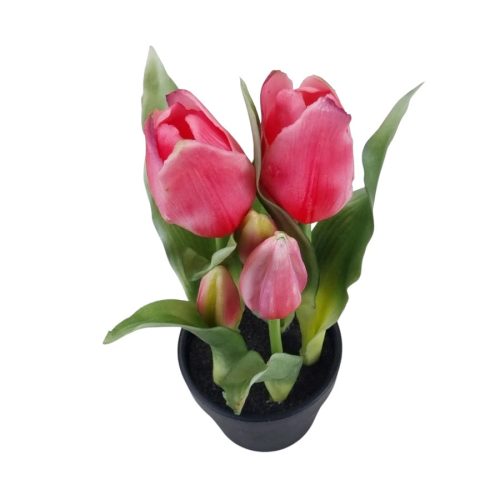 Cserepes gumi tulipán 5 szálas - pink