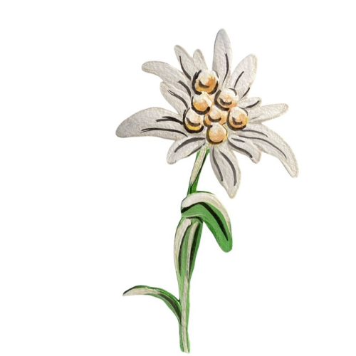 Kézzel festett havasi gyopár pálcás beszúró 