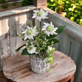 Tavaszi asztaldísz havasi gyopárral