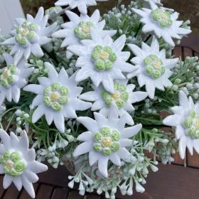 Havasi gyopár - kerámia virág