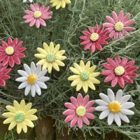 Réti margaréta - kerámia virág