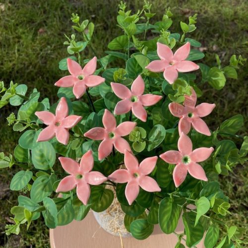 Kerámia virág - Jázmin