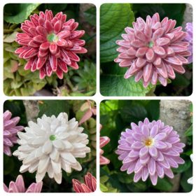 Dália - kerámia virág