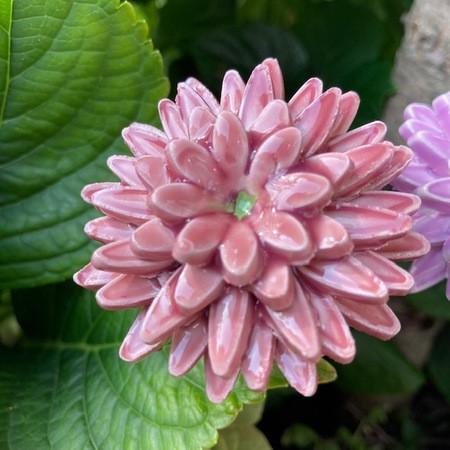 Dália - kerámia virág