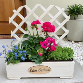 Apácarácsos virágláda  - többféle szín