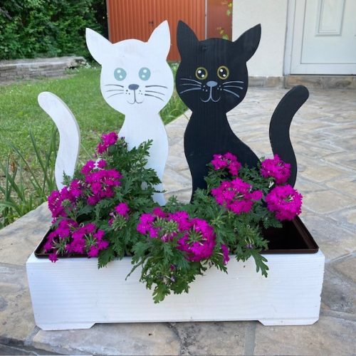 Cicás virágláda  II.