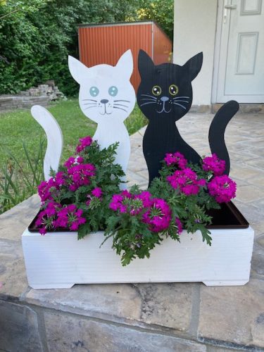 Cicás virágláda  II.