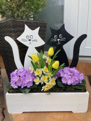 Cicás virágláda  I.