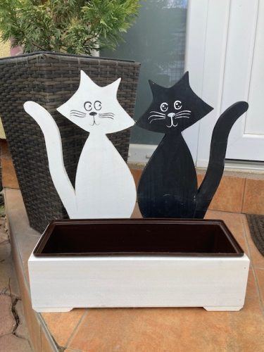 Cicás virágláda  I.