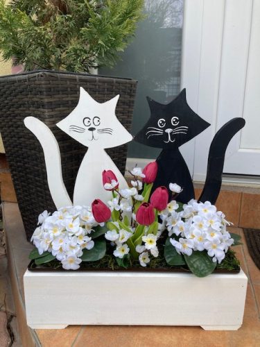 Cicás virágláda  I.