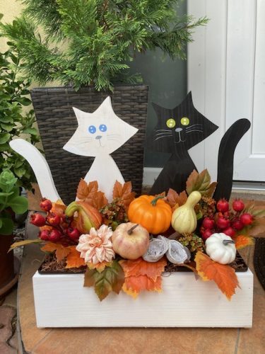 Cicás virágláda  I.