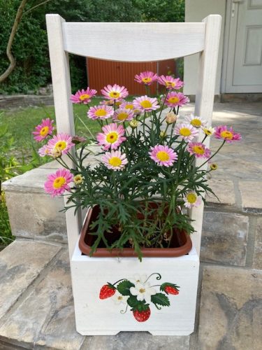 Epres virágláda - kocka aljú, 50 cm magas