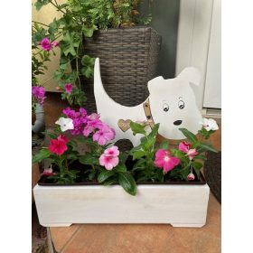 Kutyás virágláda  - fehér