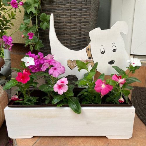Kutyás virágláda  - fehér